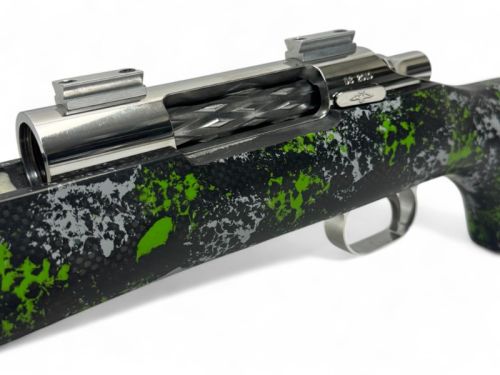 DS2010rifle (5).jpg