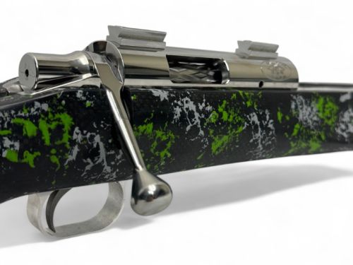 DS2010rifle (2).jpg
