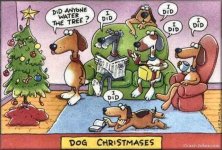 Dog Christmas.jpg