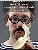 monkeypox.jpg