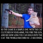 CAT and GUN.JPG