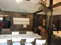 IMG_3137.jpeg