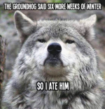 IMG_5484.png