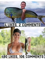 1772060528795.png