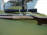 buzzards gun 320.jpg