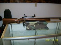 display cases and guns 011.jpg